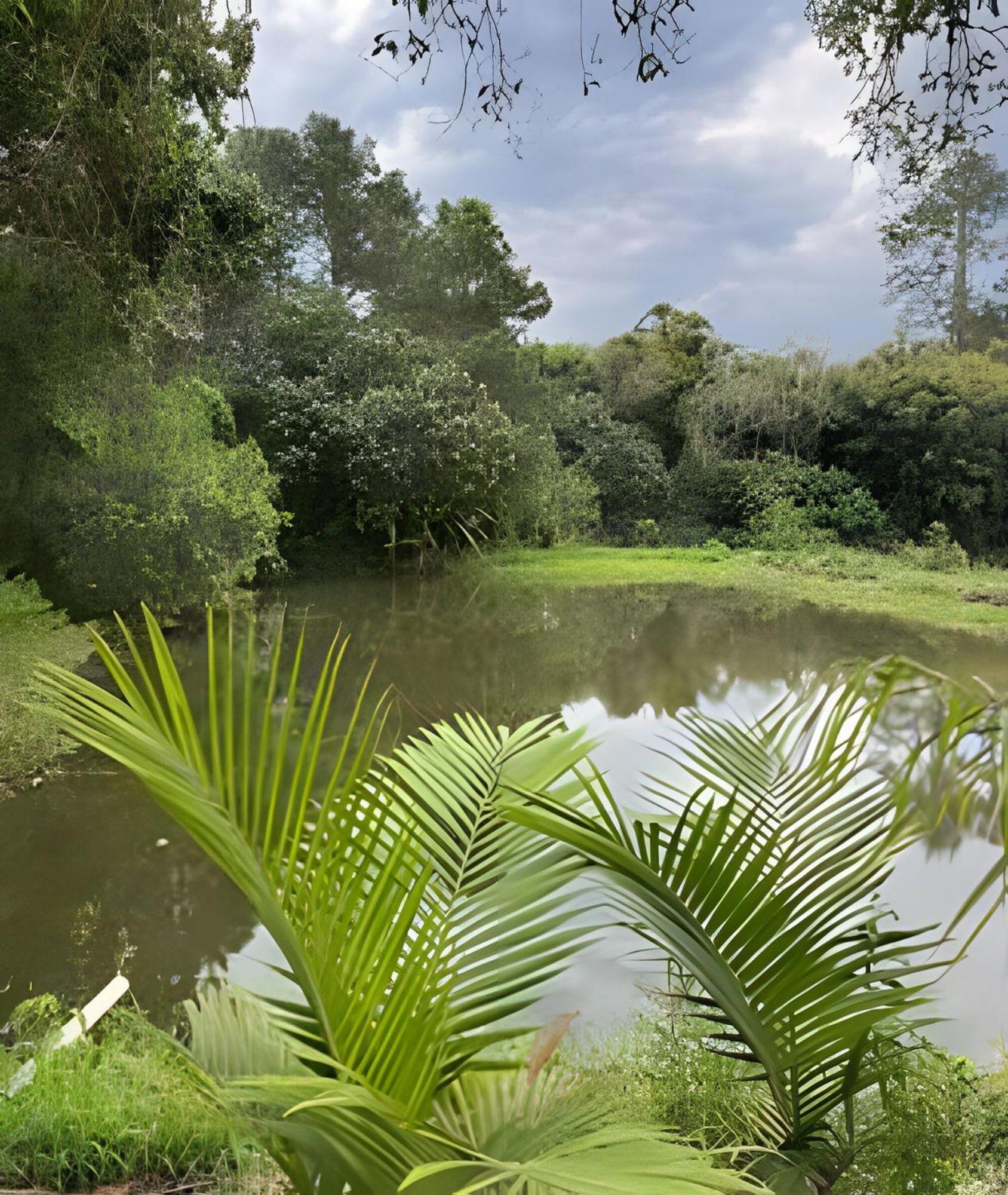 בית הארחה אטיבאיה 	Sitio Santo Antonio - Chale 1 Com Ofuro מראה חיצוני תמונה